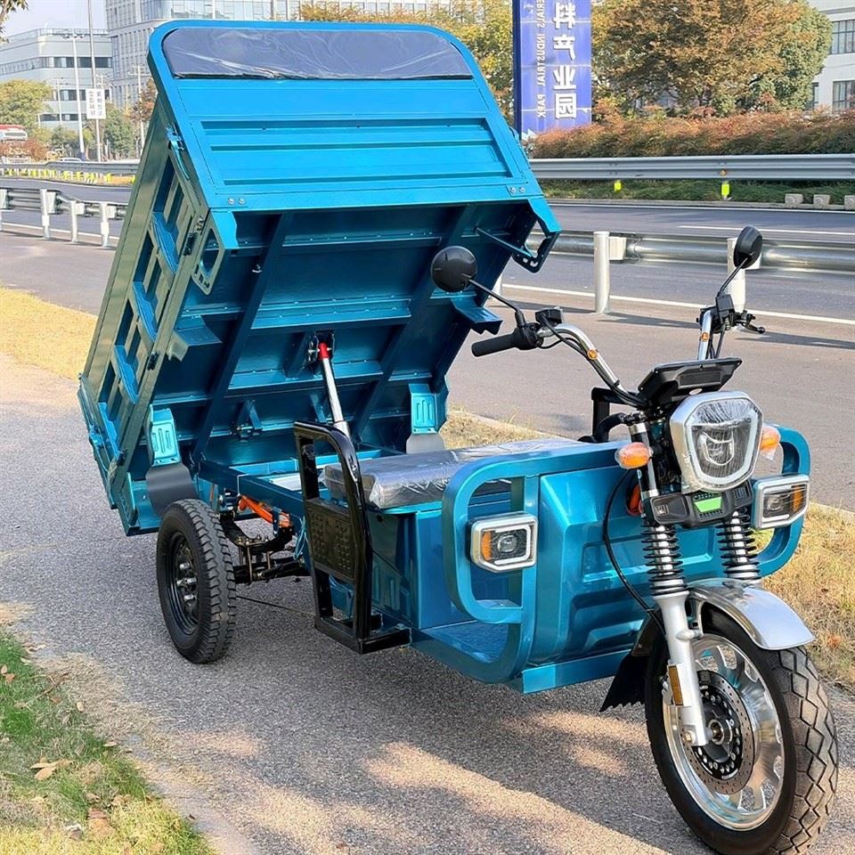 3 Wheel Ebike For Adults